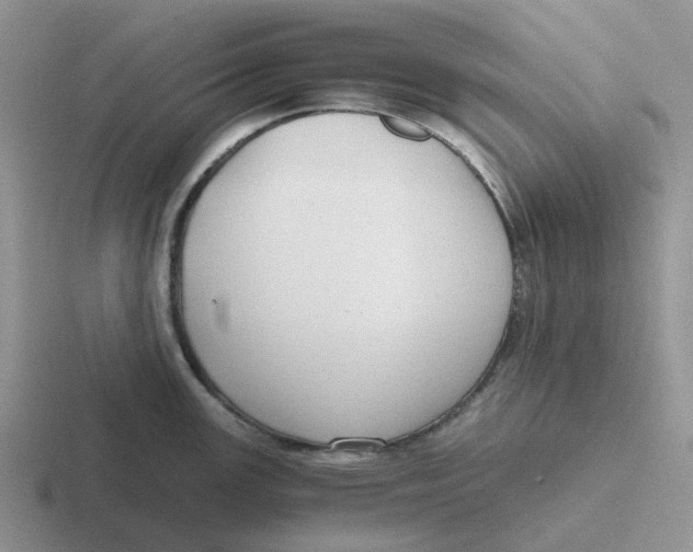 X0000116641147201001041026