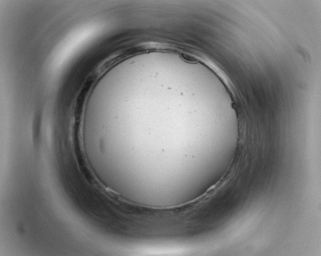 X0000116641151201001041026