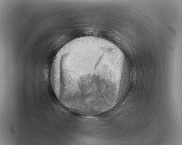 X0000116641154201001041025