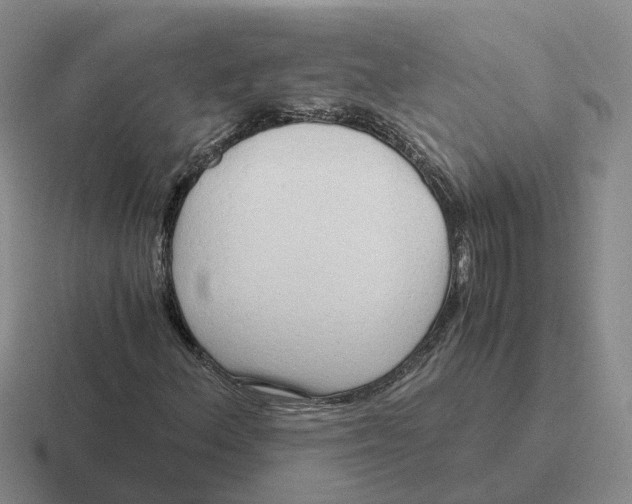 X0000116641156201001041025