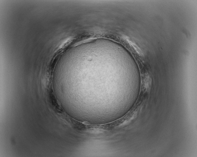 X0000116641157201001041025