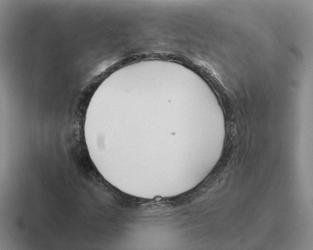 X0000116641159201001041025