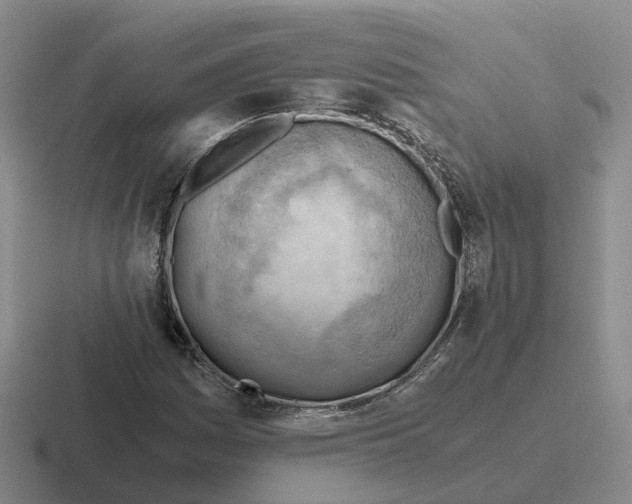 X0000116641161201001041025