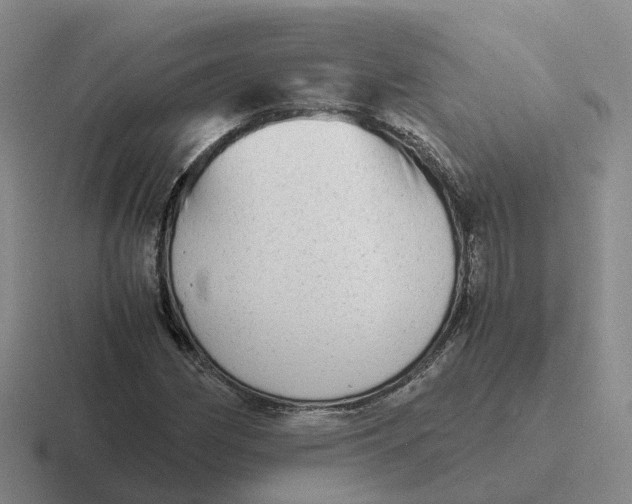 X0000116641162201001041025