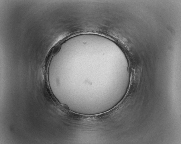 X0000116641165201001041025