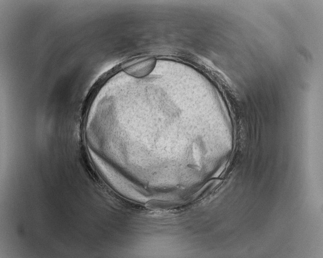 X0000116641166201001041025