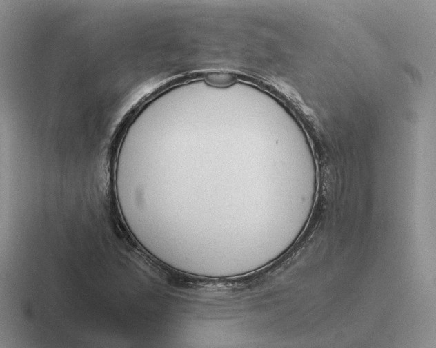 X0000116641167201001041025