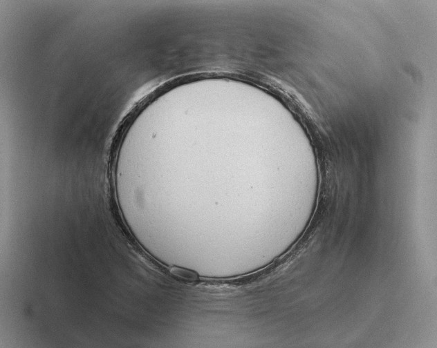 X0000116641168201001041025