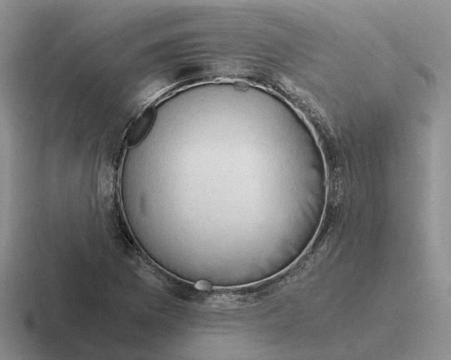 X0000116641169201001041025