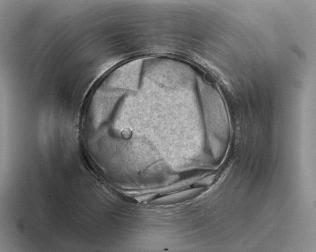 X0000116641170201001041025