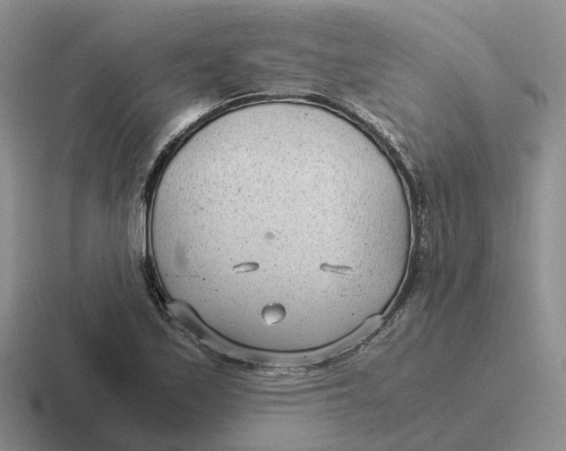 X0000116641171201001041025