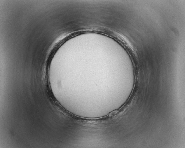 X0000116641172201001041025