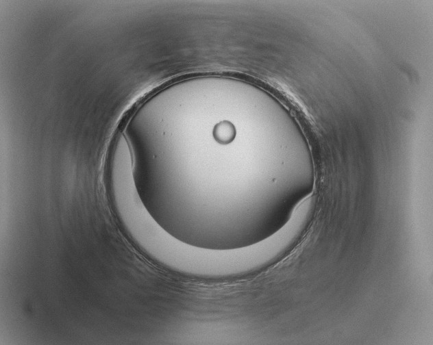 X0000116641173201001041025