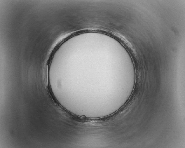 X0000116641175201001041025