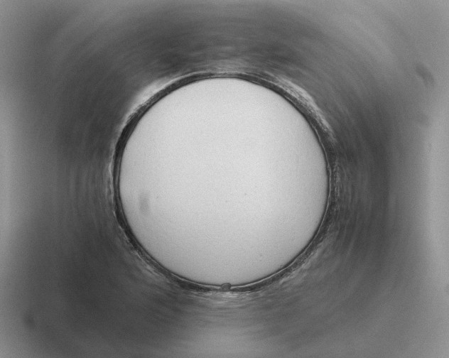 X0000116641176201001041025