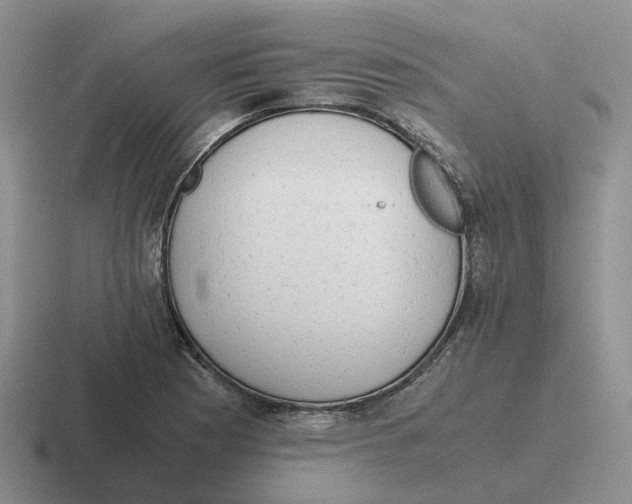 X0000116641177201001041025