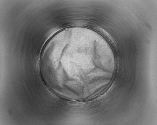 X0000116641178201001041025