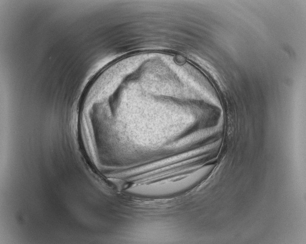 X0000116641179201001041025