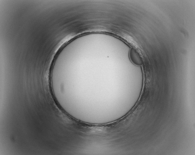 X0000116641181201001041025