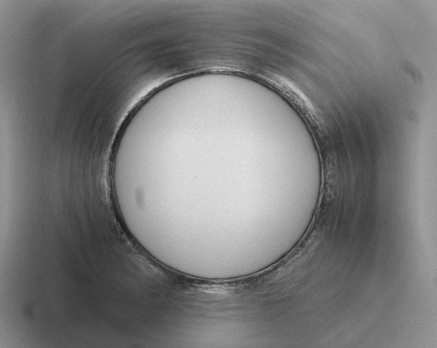 X0000116641182201001041025