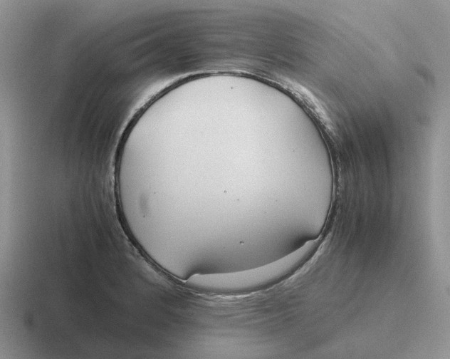 X0000116641184201001041025