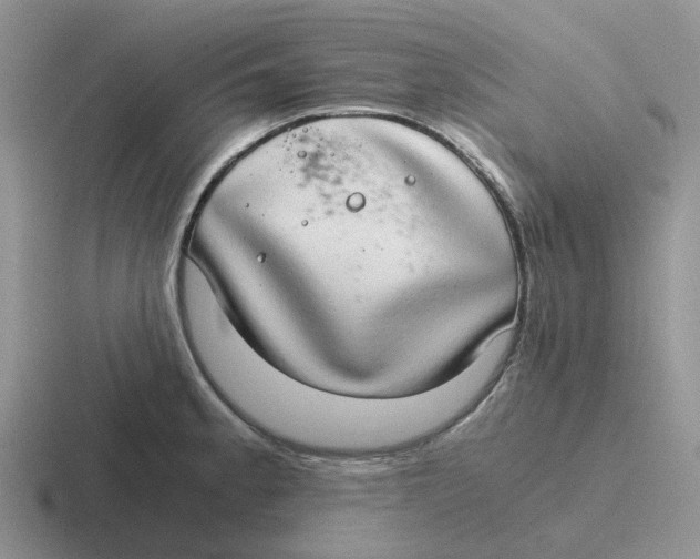 X0000116641189201001041025