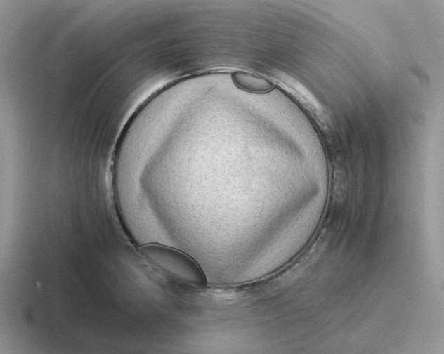 X0000116641190201001041025