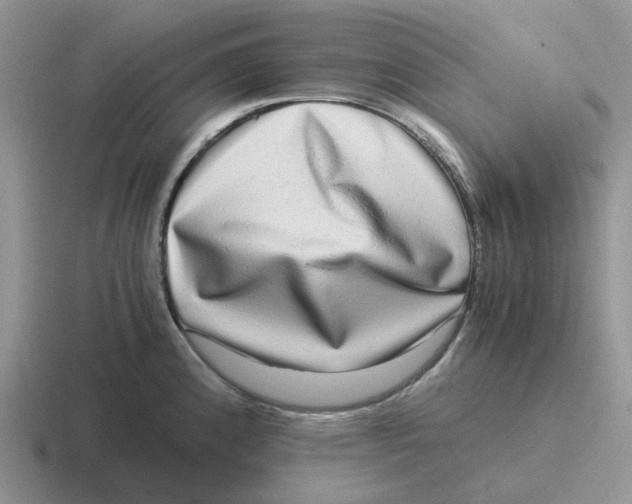 X0000116641192201001041025