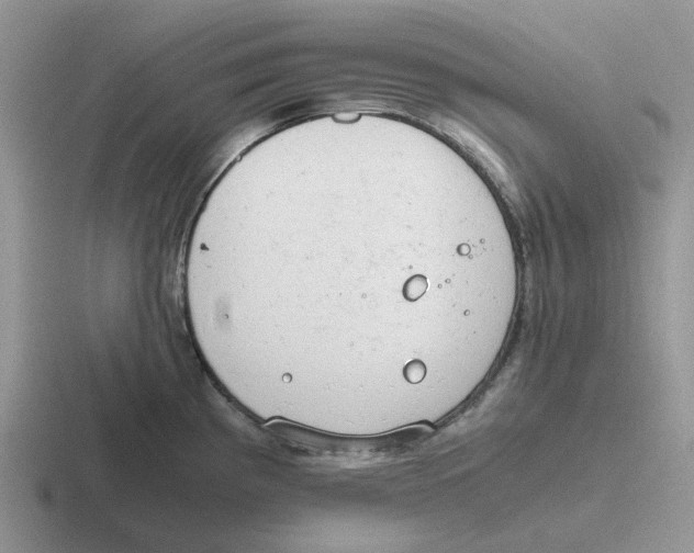 X0000116641193201001041025