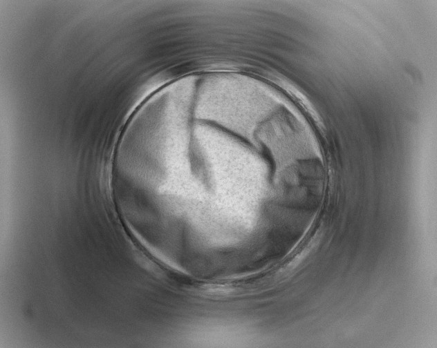 X0000116641194201001041025