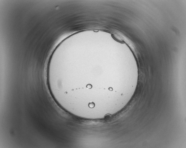 X0000116641195201001041025