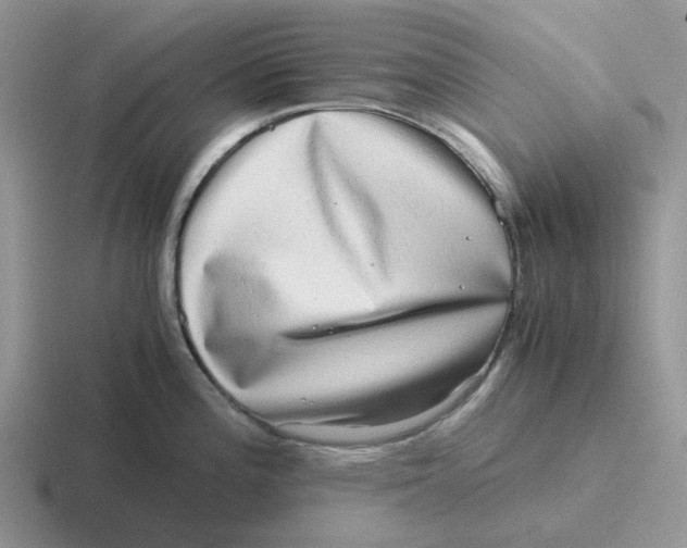 X0000116641196201001041025