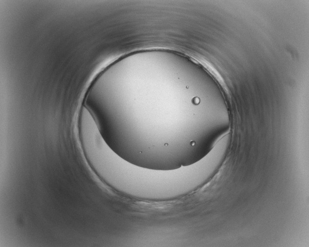 X0000116641197201001041025