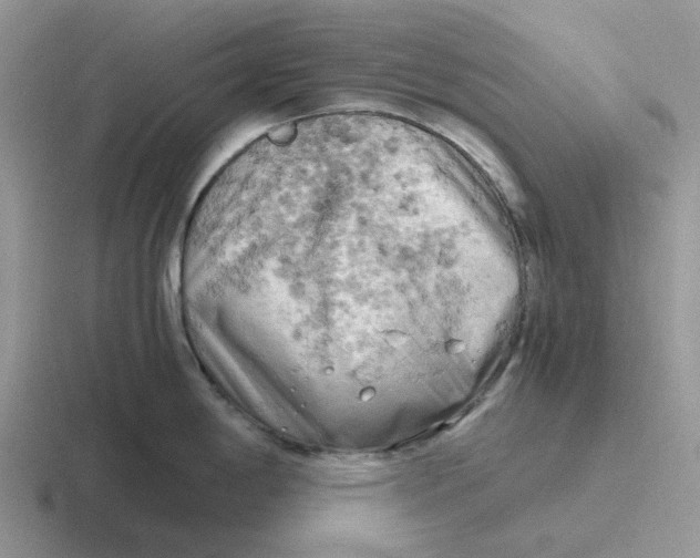 X0000116641198201001041025