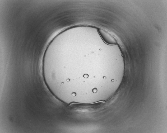 X0000116641199201001041025