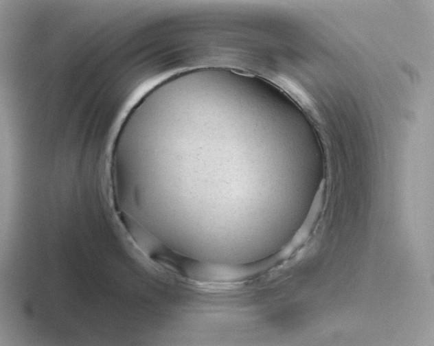 X0000116641200201001041025