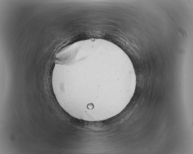 X0000116641201201001041024