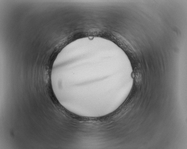 X0000116641204201001041024