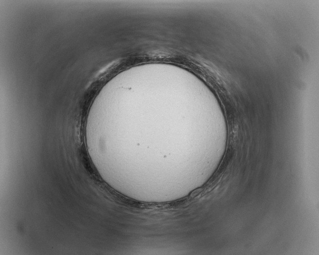 X0000116641205201001041024