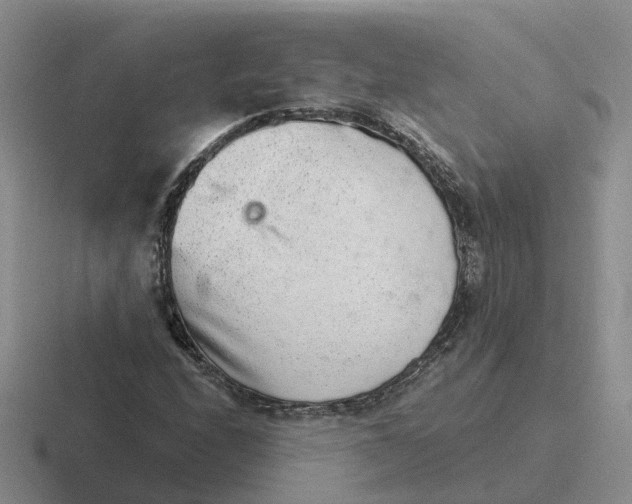 X0000116641208201001041024