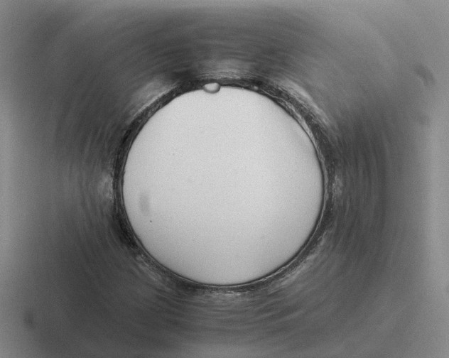 X0000116641209201001041024