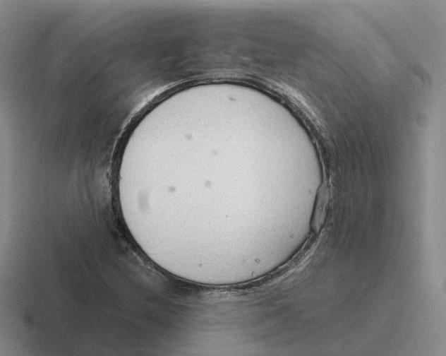 X0000116641212201001041024