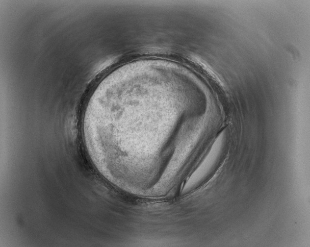 X0000116641213201001041024