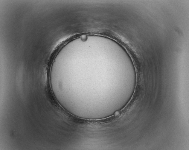 X0000116641214201001041024