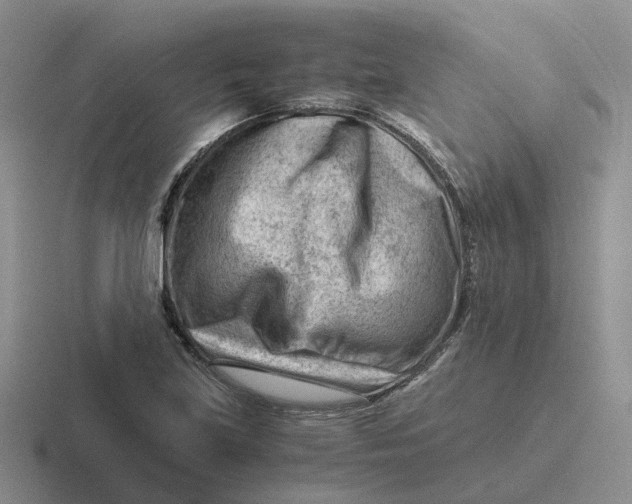 X0000116641219201001041024