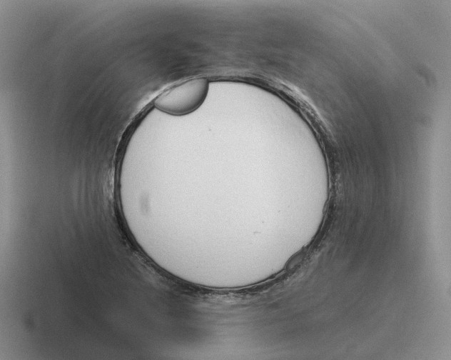 X0000116641220201001041024