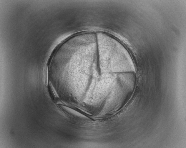 X0000116641223201001041024