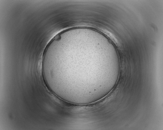 X0000116641228201001041024