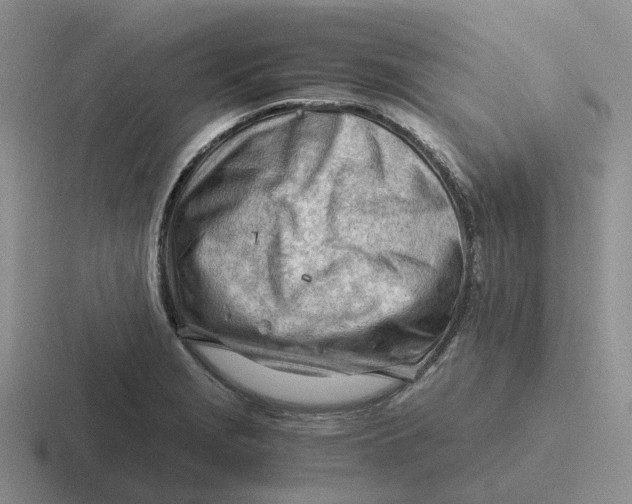 X0000116641229201001041024