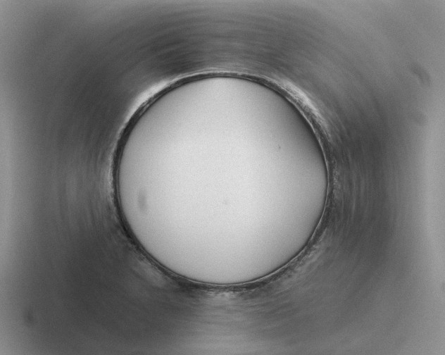 X0000116641230201001041024